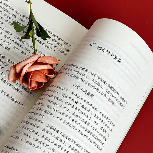 幼儿成长及发展个案研究 幼儿教师培训用书 张亚军 大夏书系 商品图13