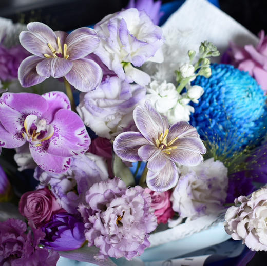 《长相思》  藏宝图蝴蝶兰布朗尼郁金香花束 商品图8