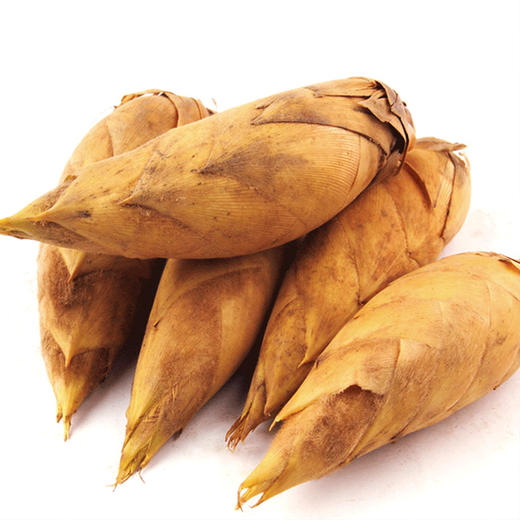 沈爷的宝贝 遂昌冬笋5斤精选两头尖 产地直发 商品图1