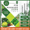叶菜病虫害绿色防控彩色图谱【园艺学会】 商品缩略图0