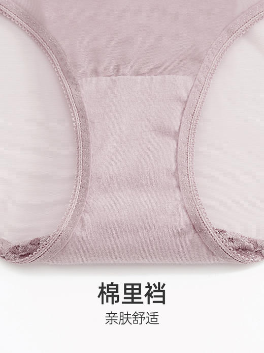HSIA遐 网纱超薄款平角裤 点彩性感火辣纯棉底浪低腰蕾丝内裤女 商品图4