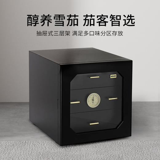 德国Adorini Chianti Medium Deluxe Humidor立式雪茄盒100支装 商品图0