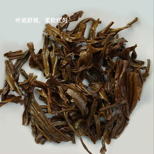 【官方正品】红瑞徕·创典1939正宗老树凤庆滇红茶400g浓香型蜜香养胃工夫红茶叶云南白药天颐茶品出品 商品图3