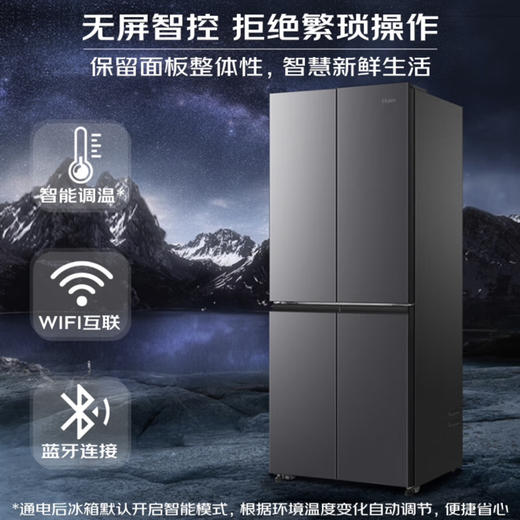 海尔（Haier）冰箱 BCD-405WLHTDEDS9U1 商品图10