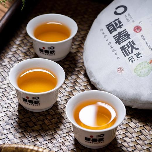 【官方正品】醉春秋·朋聚普洱生茶357g饼茶叶特级正宗生普紧压茶送礼自用2021年茶云南白药天颐茶品出品 商品图2