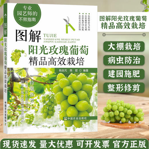 图解阳光玫瑰葡萄精品高效栽培葡萄高效栽培 病虫草害诊断与防治 葡萄合理整修修剪图解 葡萄种植技术书籍葡萄实用栽培技术大全【官方正版，可开发票，下单时留开票信息和电子邮箱】 商品图0