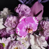 《答案》藏宝图蝴蝶兰神秘优雅紫色系插花 商品缩略图4