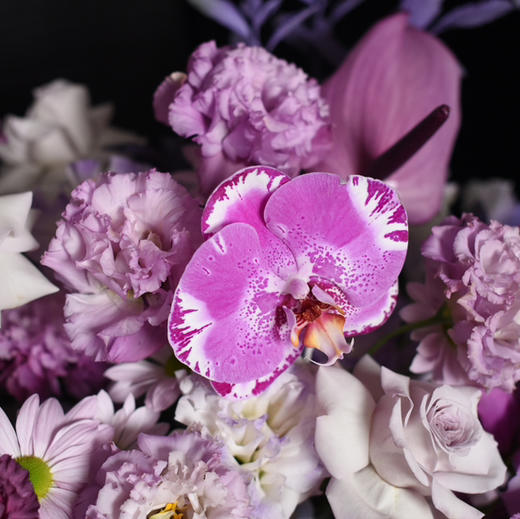 《答案》藏宝图蝴蝶兰神秘优雅紫色系插花 商品图4