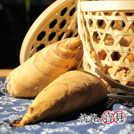 沈爷的宝贝 遂昌冬笋5斤精选两头尖 产地直发 商品图3