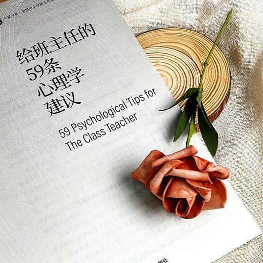 给班主任的59条心理学建议 大夏书系 林萍著 商品图5