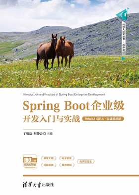 Spring Boot企业级开发入门与实战（IntelliJ IDEA·微课视频版）