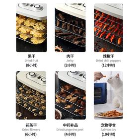 摩飞   干果机   小型水果风干机  MR6255