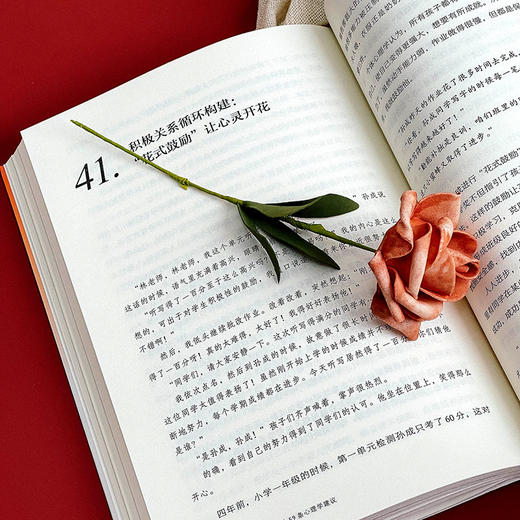 给班主任的59条心理学建议 大夏书系 林萍著 商品图12