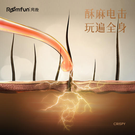 roomfun房趣 电滋棒 商品图6