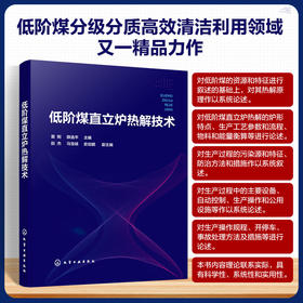 低阶煤直立炉热解技术