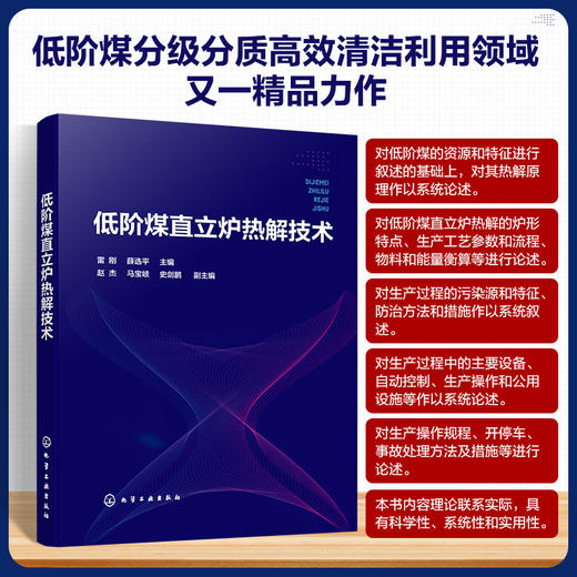 低阶煤直立炉热解技术 商品图0