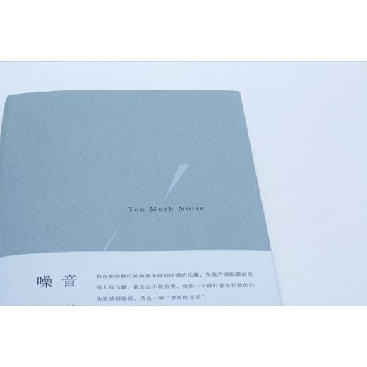 噪音 梁文道 著 艺术、评论 商品图4