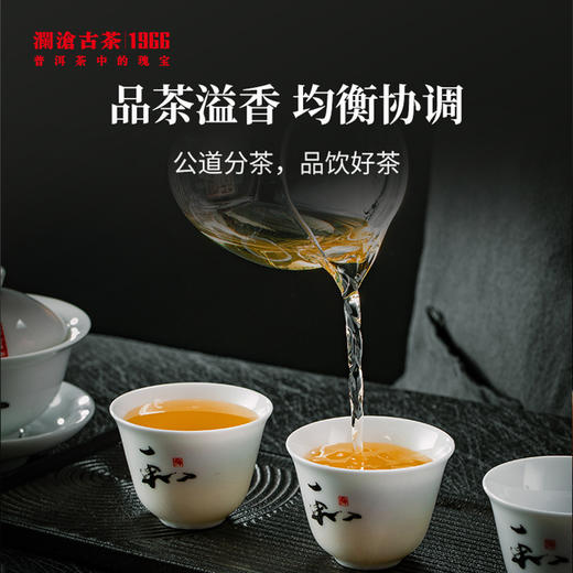 【东莞食博会专属】澜沧古茶和字品茗单杯（仅东莞食博会线下自提，其他拍下不发货，不退不换，介意慎拍） 商品图2