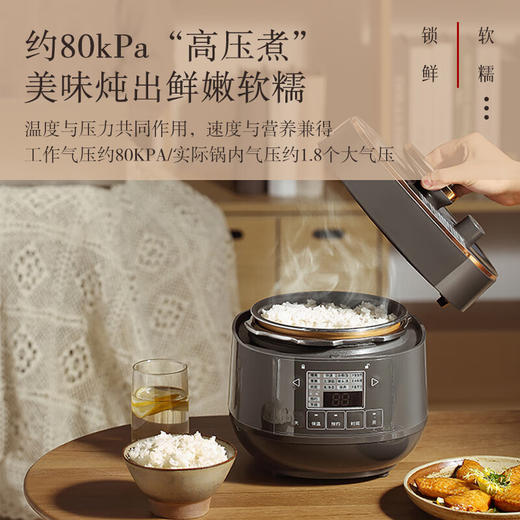 松下（Panasonic）2L电压力锅 迷你电压力锅  高压锅 电压锅 电饭锅 24小时预约 可拆洗内外盖 SR-PB201-H 商品图0