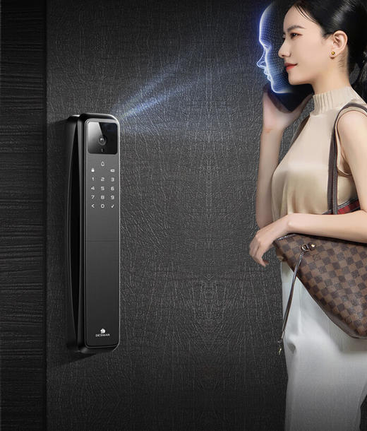 德施曼Q50FMax哨兵版智能门锁 商品图3