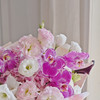 《宝藏》藏宝图蝴蝶兰高级感优雅气质花束 商品缩略图4