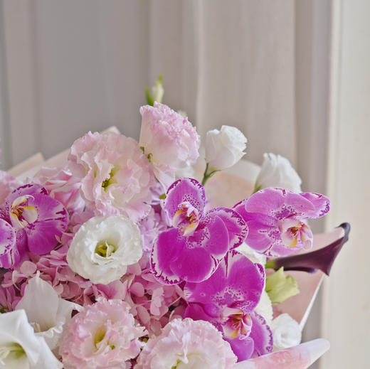《宝藏》藏宝图蝴蝶兰高级感优雅气质花束 商品图4
