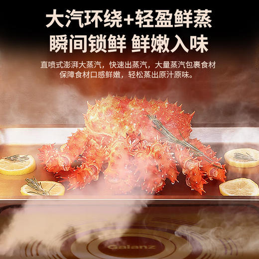 格兰仕（Galanz）微蒸烤一体机 28升变频微波炉烤箱一体机 直喷蒸汽纯蒸 微波炉烤箱蒸箱三合一 D10Q28CSLV-Q3(S0) 商品图4