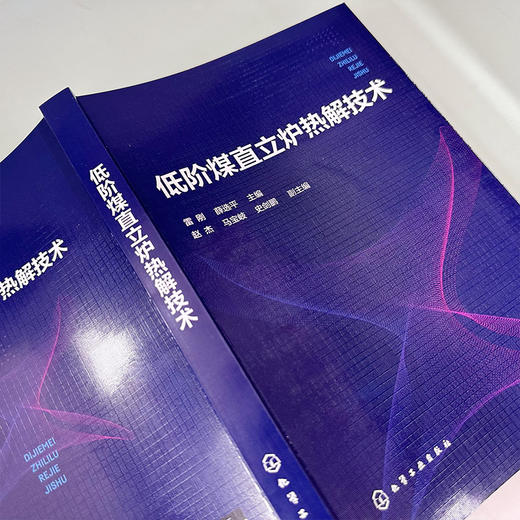 低阶煤直立炉热解技术 商品图8