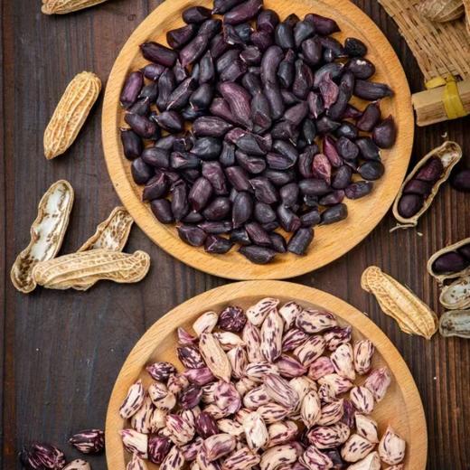 七彩花生&黑花生 | 500g*2袋 生态种植 来自云南普洱 生花生 茶点 生鲜食材 商品图2