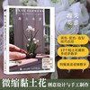 指尖花意 微缩黏土花创意设计与手工制作 粘土教程书 树脂粘土入门 商品缩略图0
