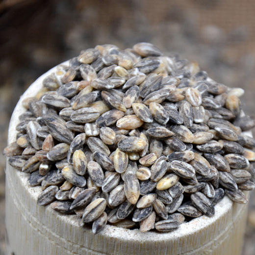 河谷上方 黑麦仁500g*5袋 商品图1