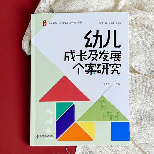 幼儿成长及发展个案研究 幼儿教师培训用书 张亚军 大夏书系 商品图2