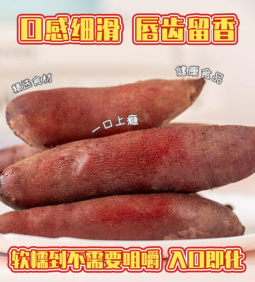 【斌哥优选】玛莎丽·柒薯，既有板栗香又有蜜糖甜，甜度38+，无筋无渣，满满粗纤维 商品图5