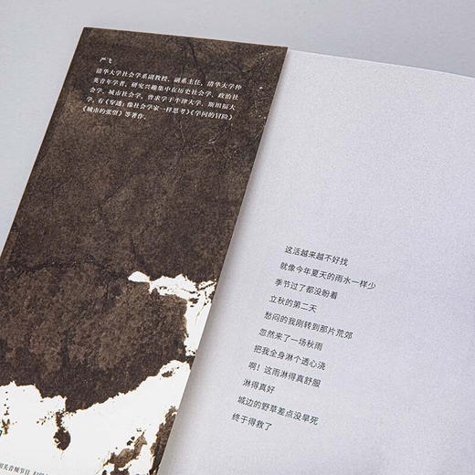 悬浮 异乡人的都市生存 商品图4