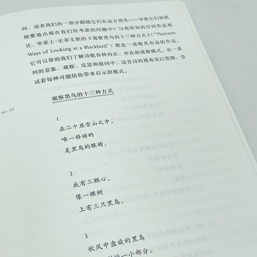 诗的九重门：如何进入诗歌的心灵世界(诗歌课书系) 2024豆瓣年度读书榜单、2024独立书店阅读榜单、2023中国作家网文学好书年度十佳、2023思南书单[美]简·赫斯菲尔德 著 邓宁立 译 商品图4