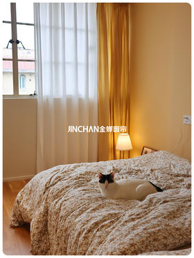 40平小家｜住进玻璃格子房，有点仙