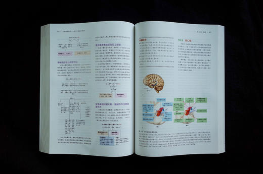 万千心理·认知神经科学：关于心智的生物学（原著第五版）（全彩） 商品图8