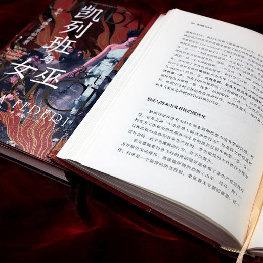 凯列班与女巫：妇女、身体与原始积累 商品图5