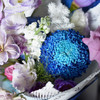 《长相思》  藏宝图蝴蝶兰布朗尼郁金香花束 商品缩略图6