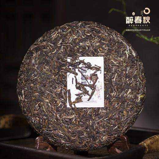 【官方正品】醉春秋·朋聚普洱生茶357g饼茶叶特级正宗生普紧压茶送礼自用2021年茶云南白药天颐茶品出品 商品图1