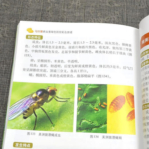 马铃薯病虫害绿色防控彩色图谱 扫码看视频 病虫害绿色防控系列 马铃薯土豆栽培种植技术 土豆马铃薯病虫害防治 土豆马铃薯高效生产营养配方施肥 李国清 郭文超 中国农业出版社【官方正版，可开发票，下单时留 商品图4