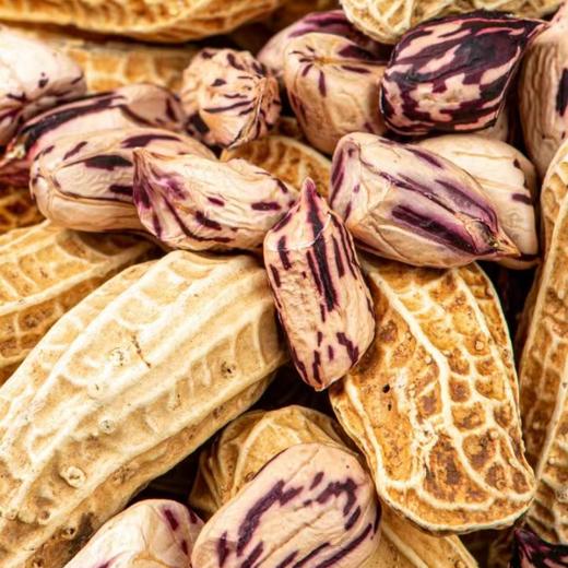 七彩花生&黑花生 | 500g*2袋 生态种植 来自云南普洱 生花生 茶点 生鲜食材 商品图7