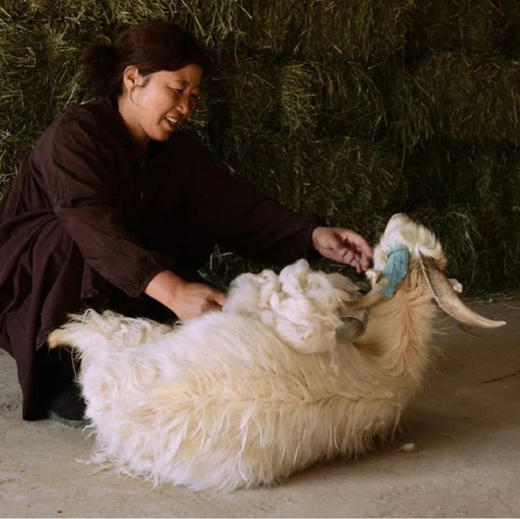 【 女款羊绒保暖裤】100%阿尔巴斯白山羊绒 多个颜色可选 常规款和加厚款 无缝痕打底裤 商品图7