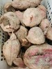 【全国邮政包邮】锄禾大番薯（5斤/箱）香甜软糯 商品缩略图2
