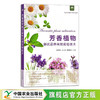 芳香植物新优品种高效栽培技术 【园艺学会】 商品缩略图0