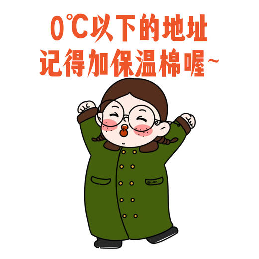 【0℃以下必拍】保温棉1份（详见说明/单买不发货） 商品图1
