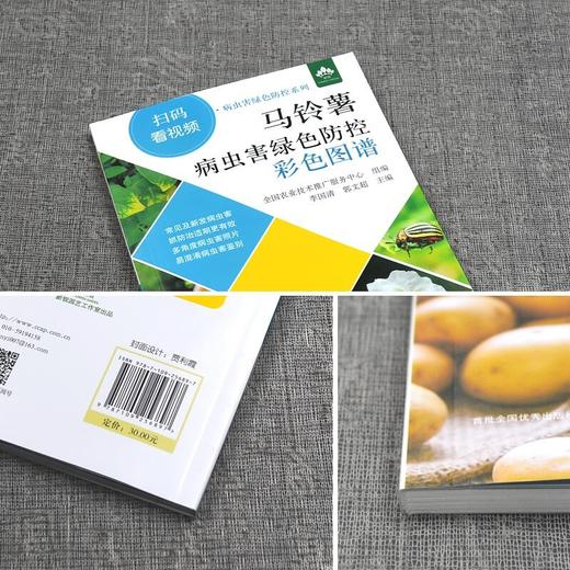 马铃薯病虫害绿色防控彩色图谱 扫码看视频 病虫害绿色防控系列 马铃薯土豆栽培种植技术 土豆马铃薯病虫害防治 土豆马铃薯高效生产营养配方施肥 李国清 郭文超 中国农业出版社【官方正版，可开发票，下单时留 商品图3