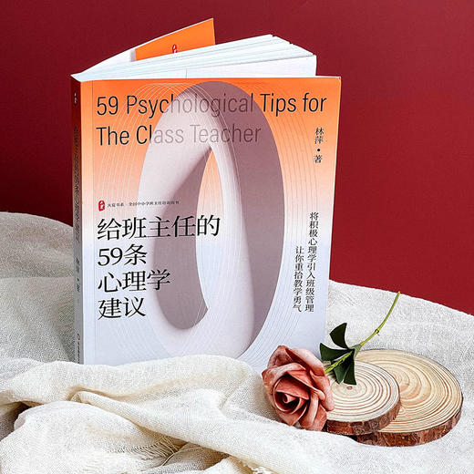 给班主任的59条心理学建议 大夏书系 林萍著 商品图3