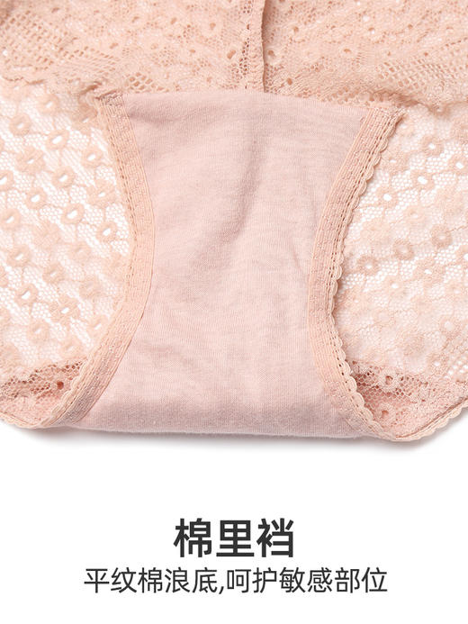 HSIA遐 性感全蕾丝三角裤女纯棉裆春夏新品轻薄透气无痕女士内裤 商品图4