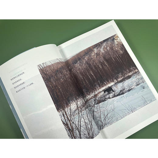 《也是冬天，也是春天》升级彩插版，生活总有裂缝，那是光照进来的地方。 商品图10